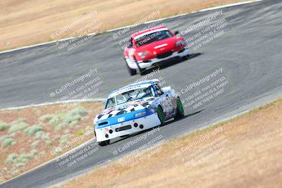 media/May-06-2023-Lucky Dog Racing (Sat) [[8f2256f436]]/Turn 2 10a/